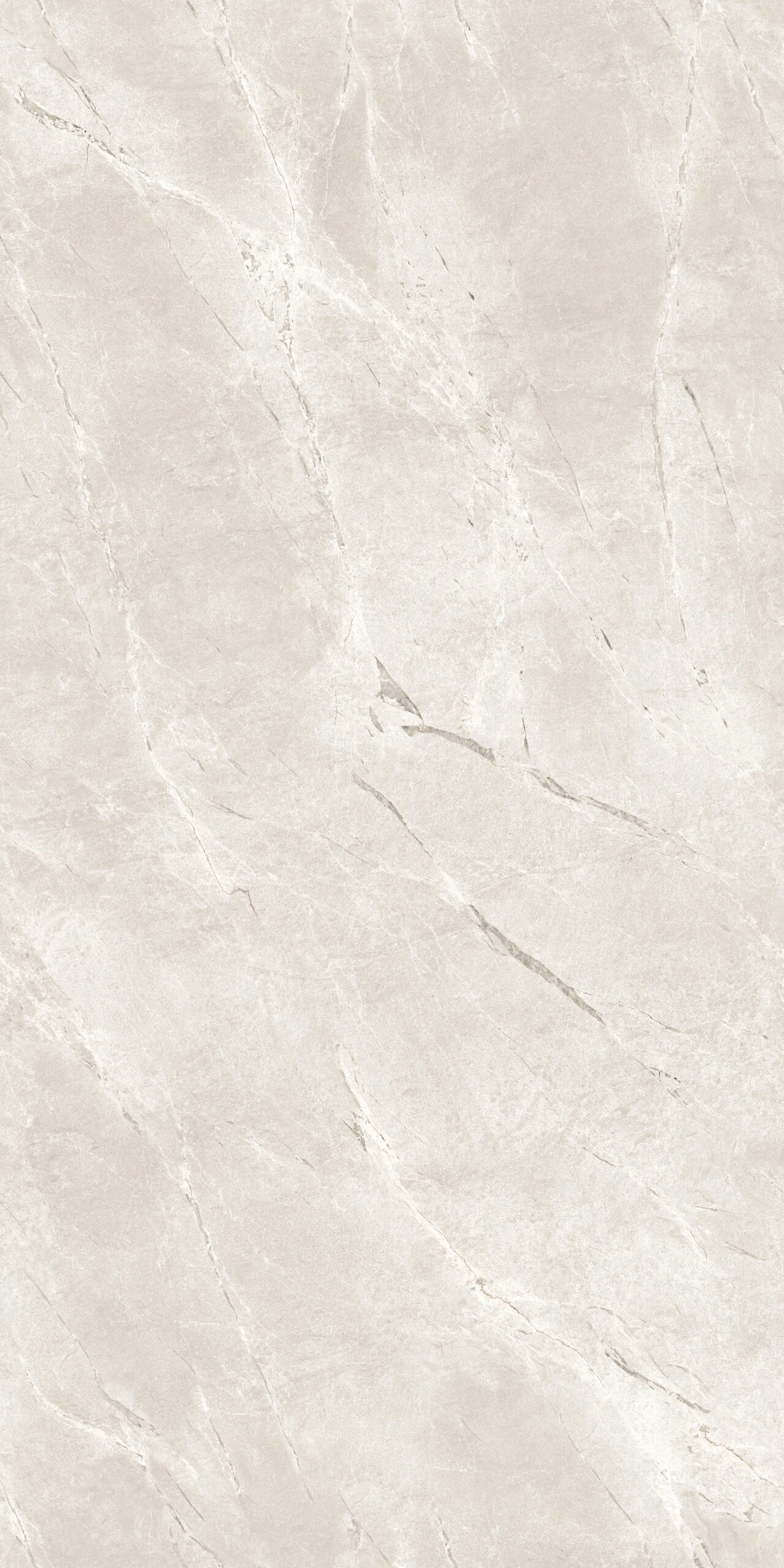 ALBATROS GRIGIO 120X240 - Image 4