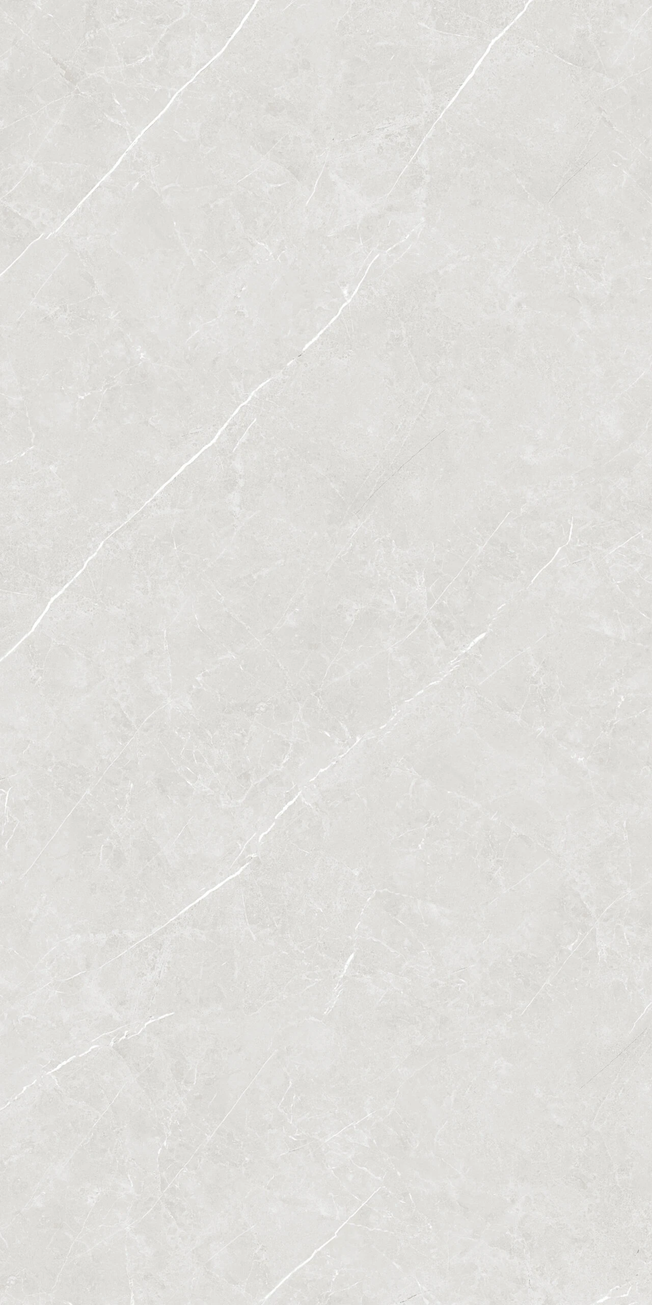 ELYSIAN GRIGIO 120X240
