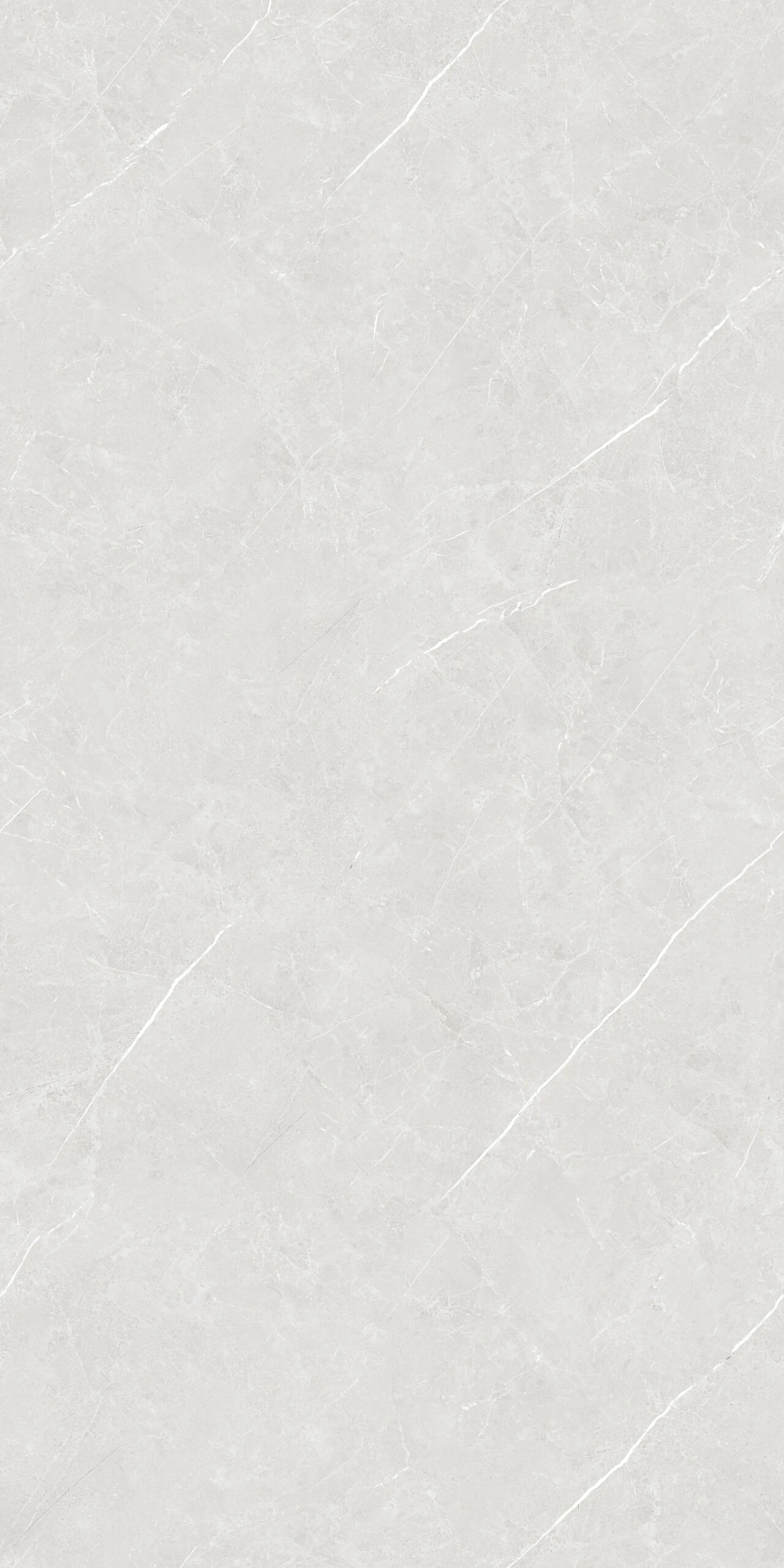 ELYSIAN GRIGIO 120X240 - Image 2