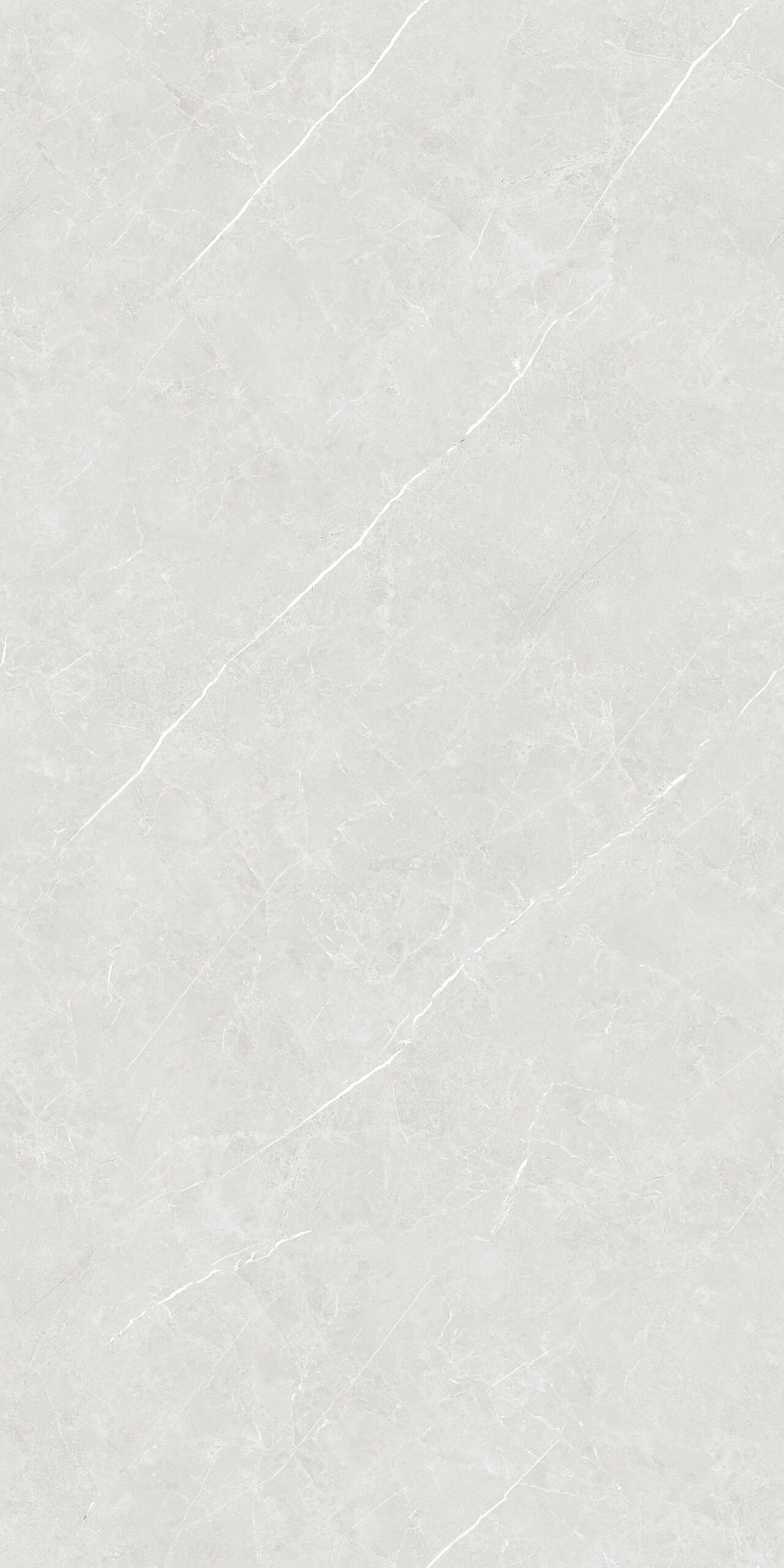 ELYSIAN GRIGIO 120X240 - Image 4