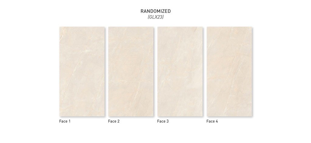 ARMANI PLATINUM 120X240 - Image 3
