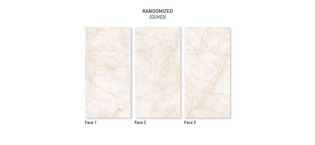 ROYAL TAUPE 120X240 - Image 3
