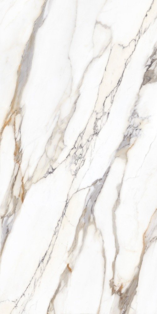 CALACATA RARE 120X240
