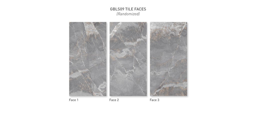 ELEGANCE GREY 120X240 - Image 3