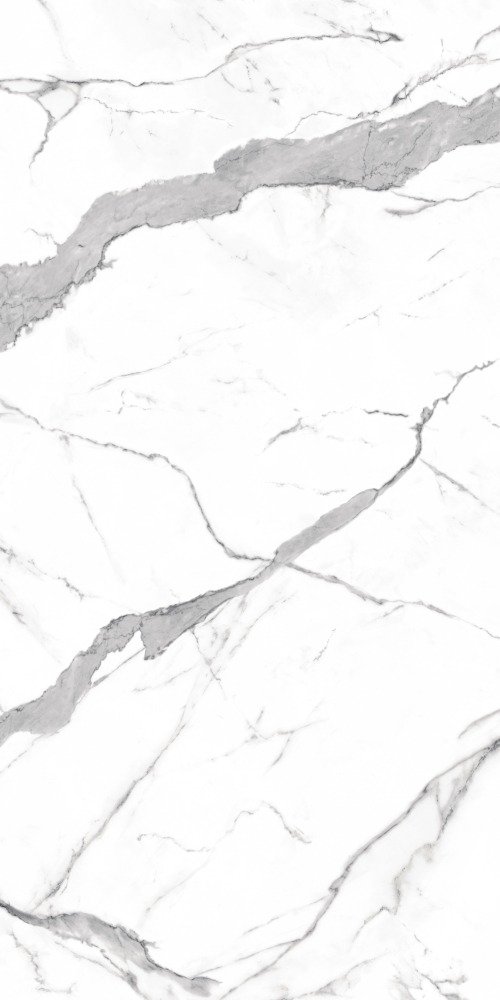 CALACATTA ELITE-L 120X240