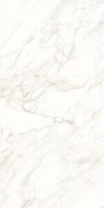 CALACATA 120X240