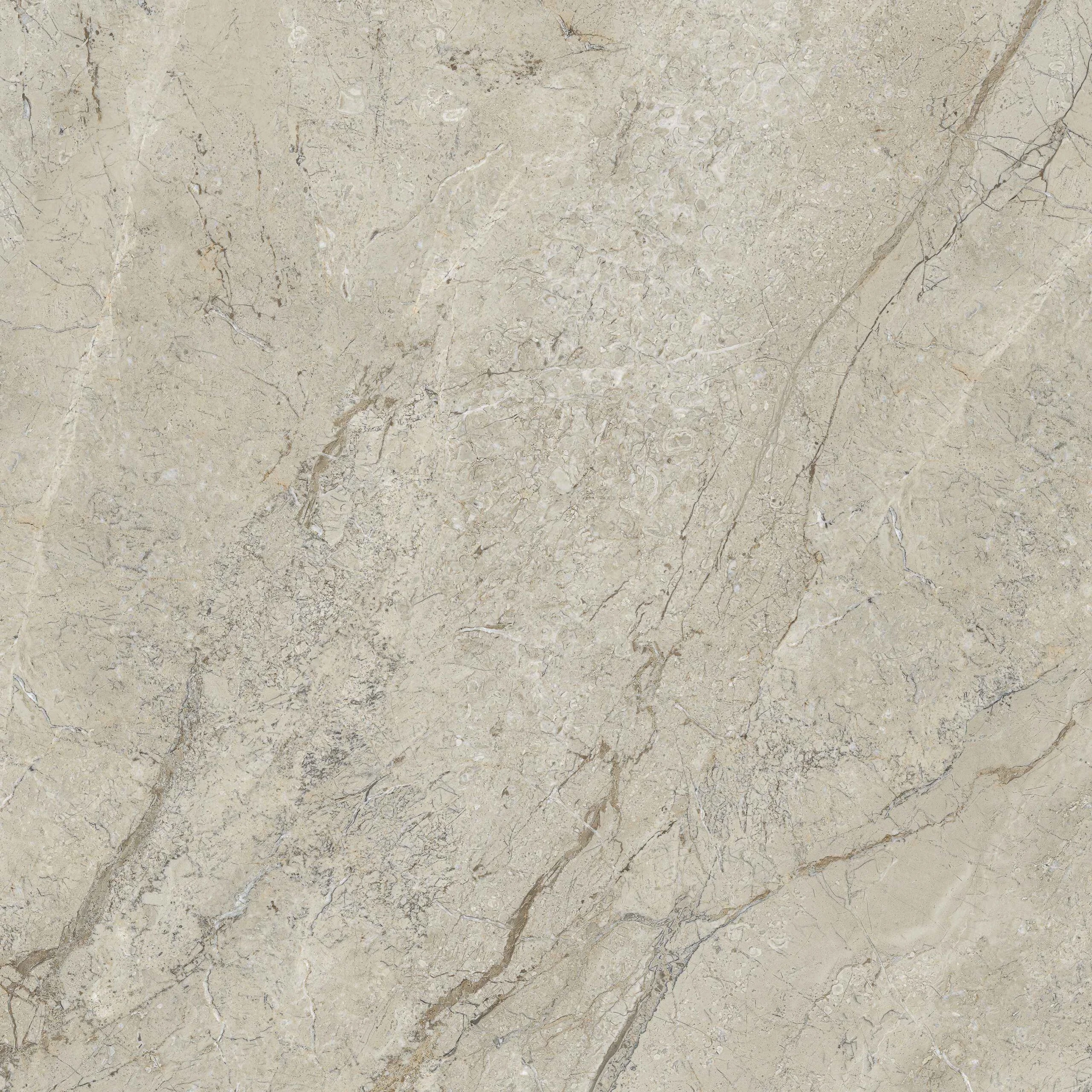 MARBELLO GREIGE 120X120 - Image 6