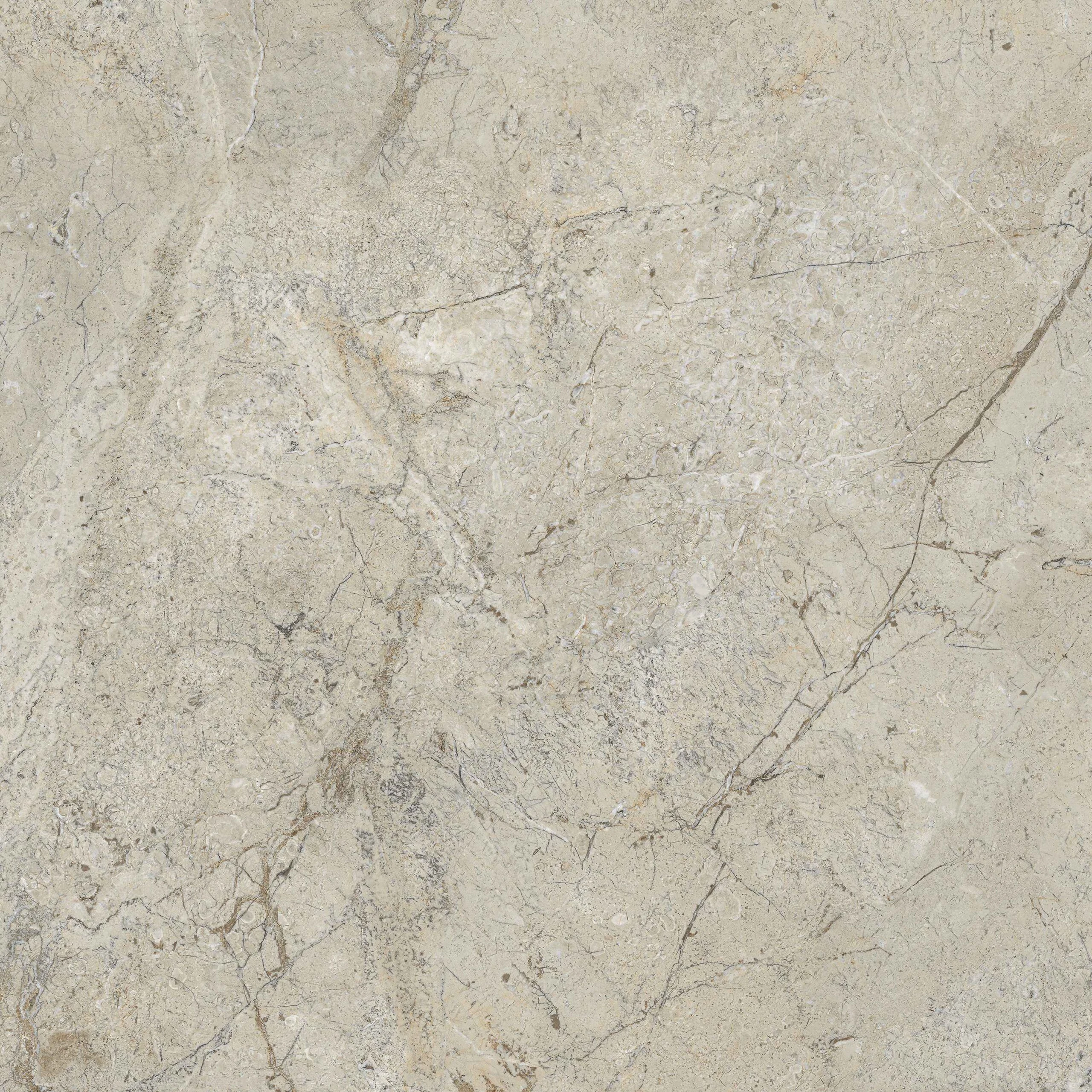MARBELLO GREIGE 120X120 - Image 7