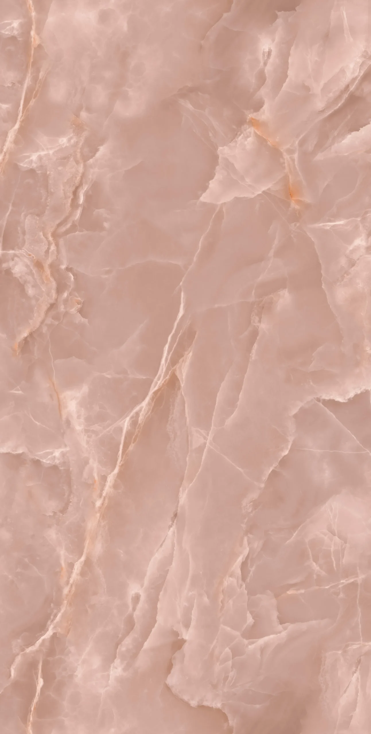 ONICCI NUOVO ROSA 120X240 - Image 3