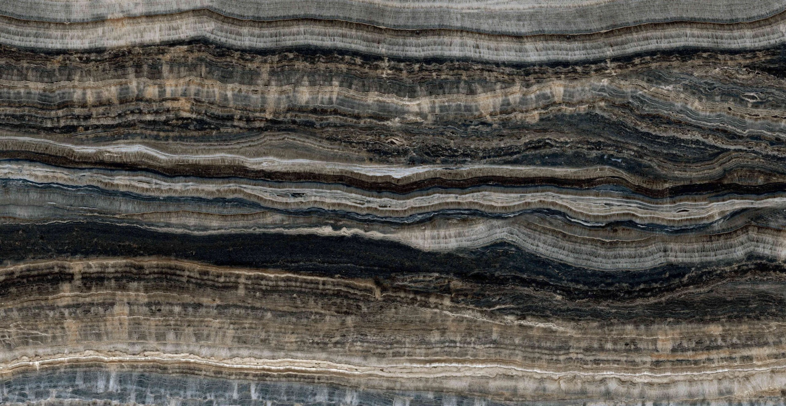 ONYX TIGER 120X240