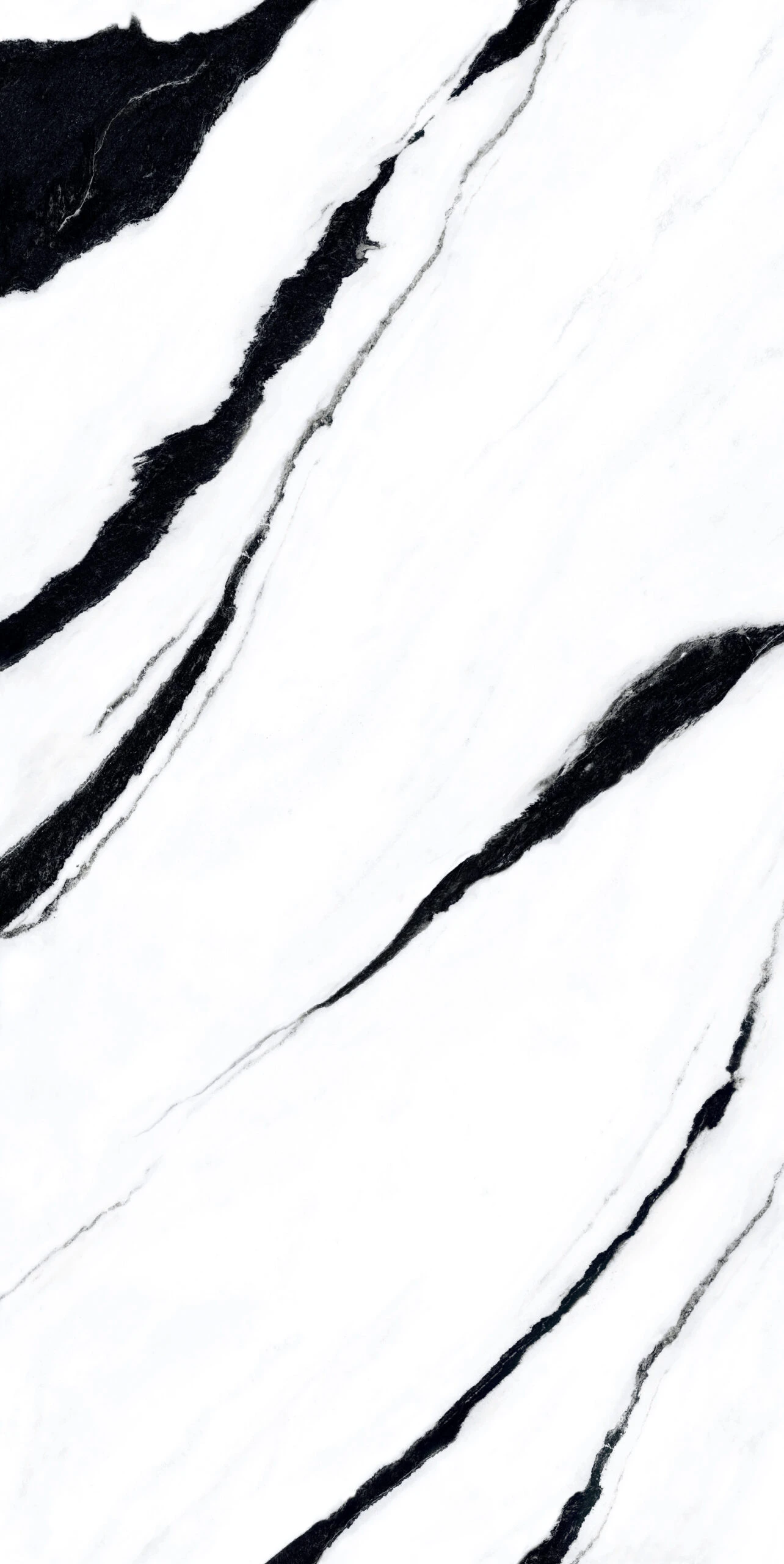 PANDA 120X240