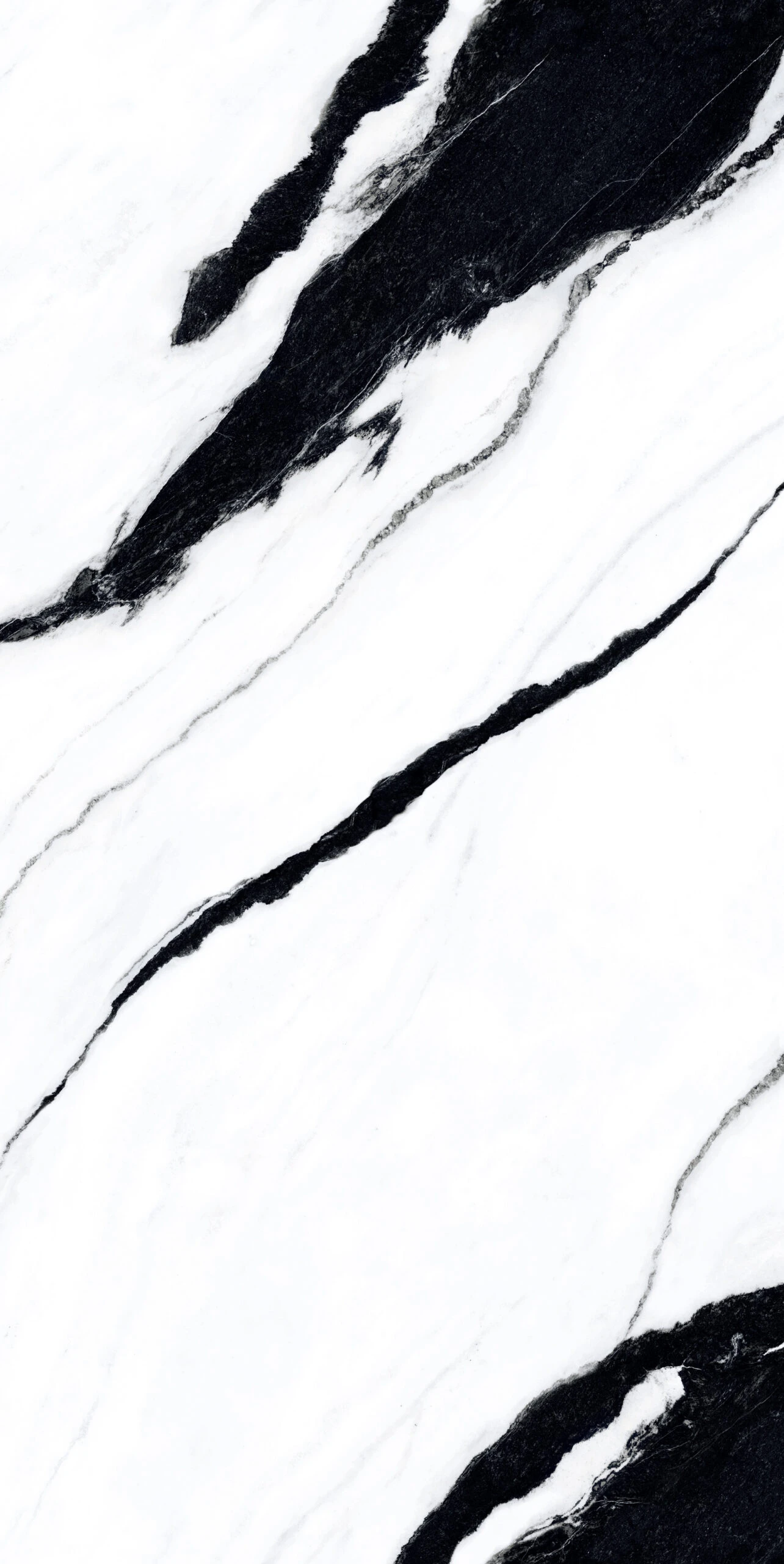 PANDA 120X240 - Image 2