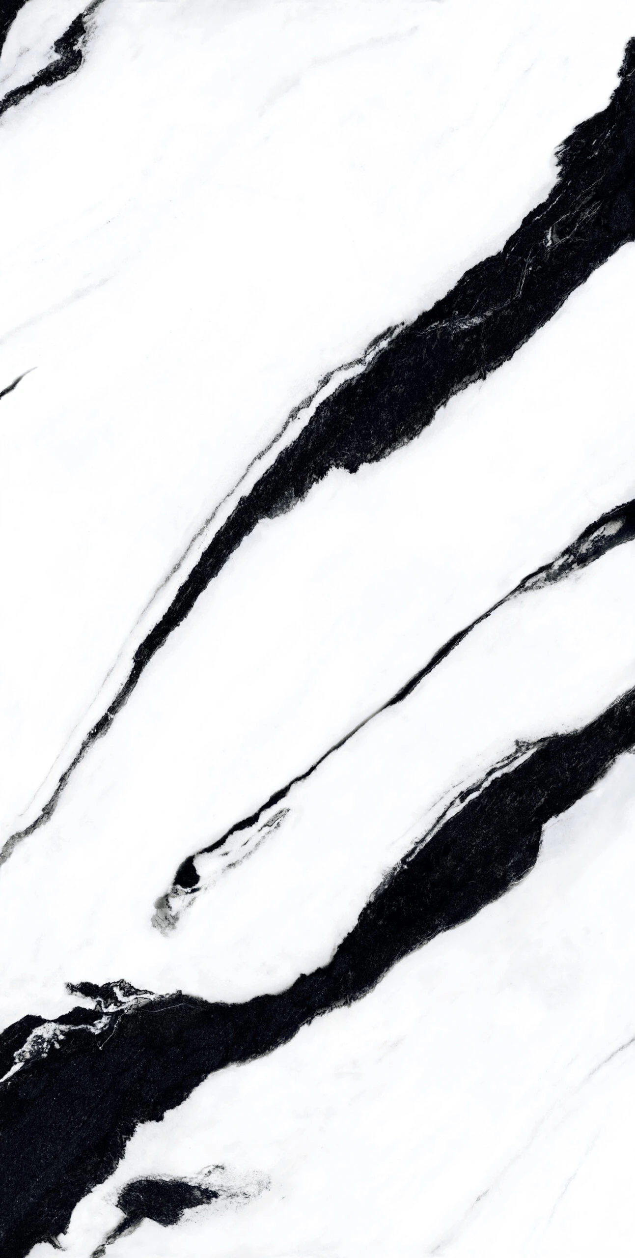 PANDA 120X240 - Image 3