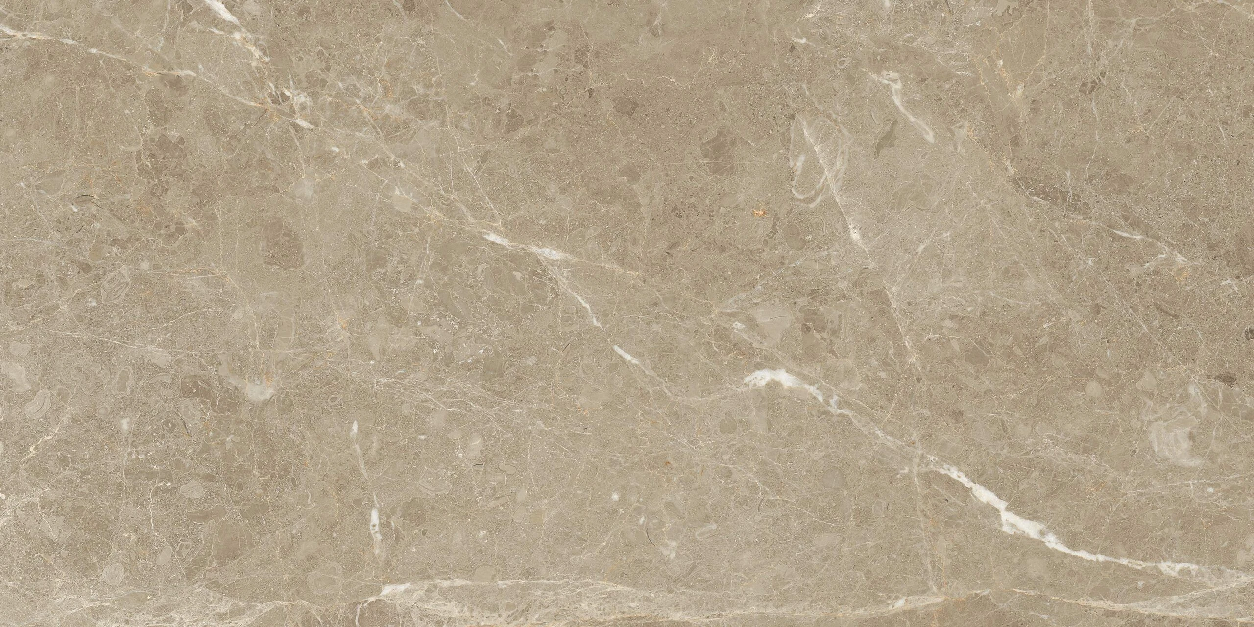 PERSIAN MARRONE 120X60