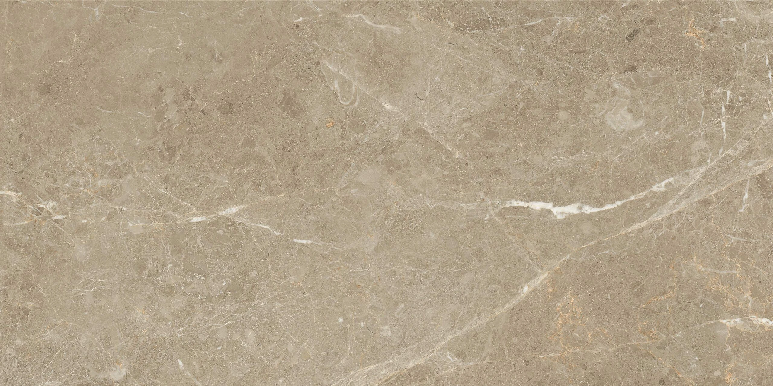 PERSIAN MARRONE 120X60 - Image 7