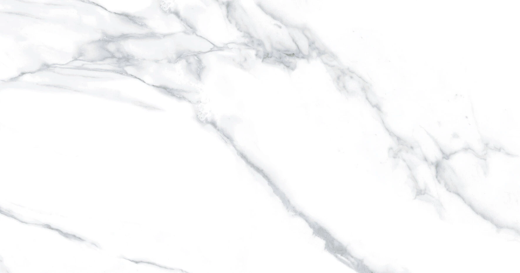 STATUARIO GREY 120X120 - Image 2