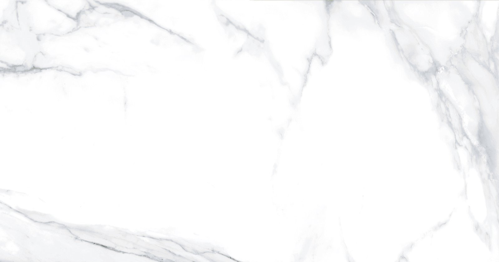 STATUARIO GREY 120X120