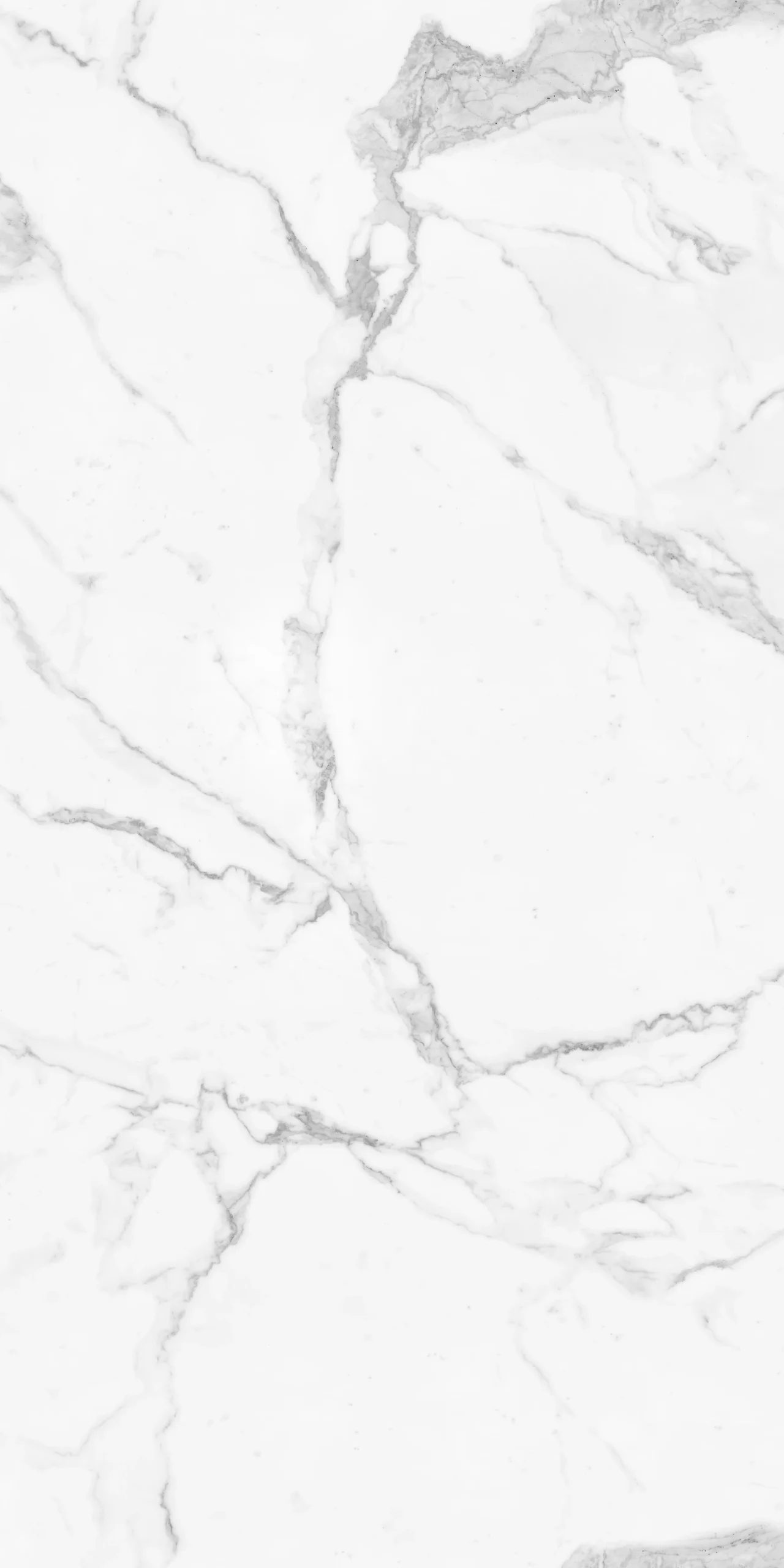 STATUARIO VENATO 120X240