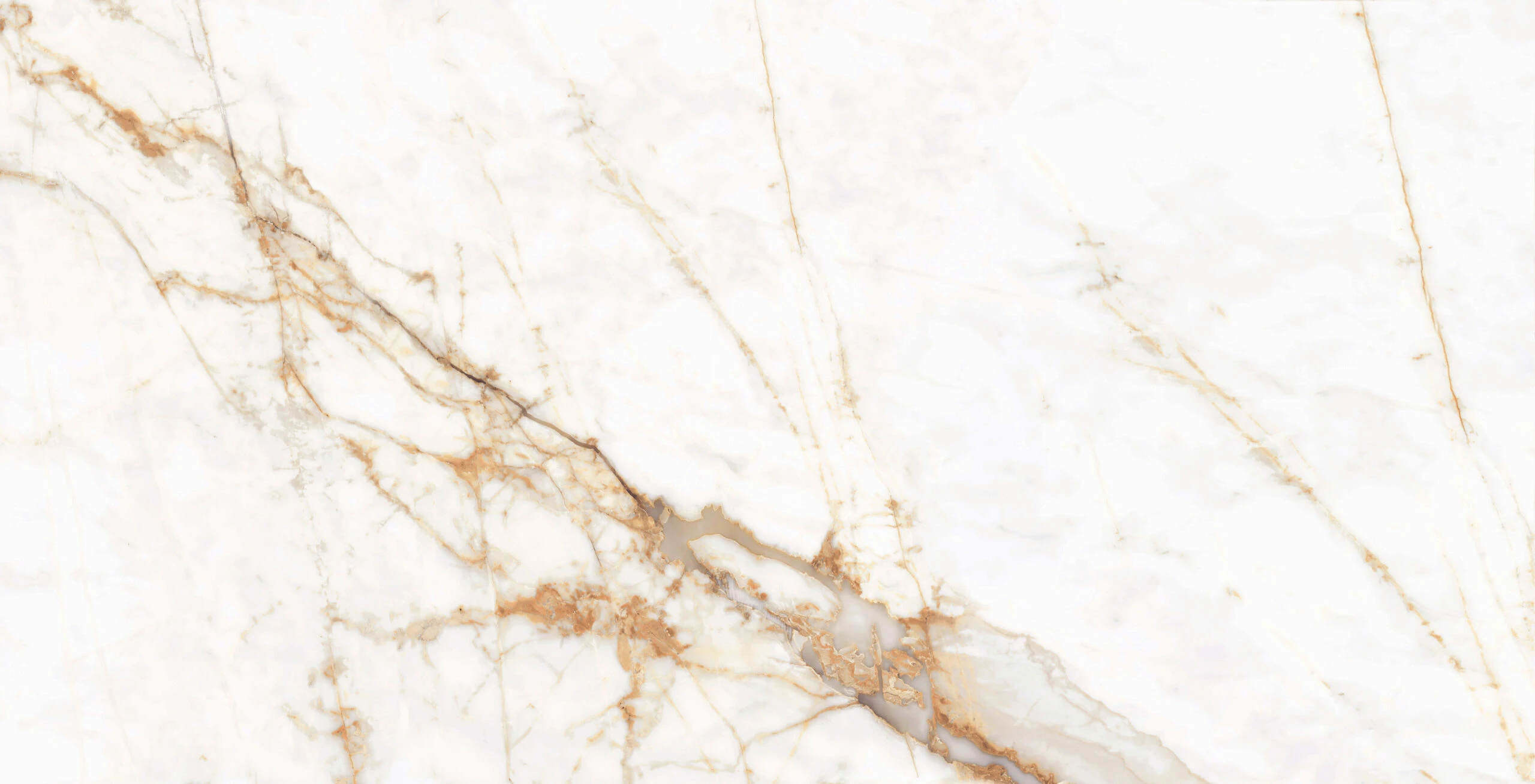 VENETO GOLD 120X60