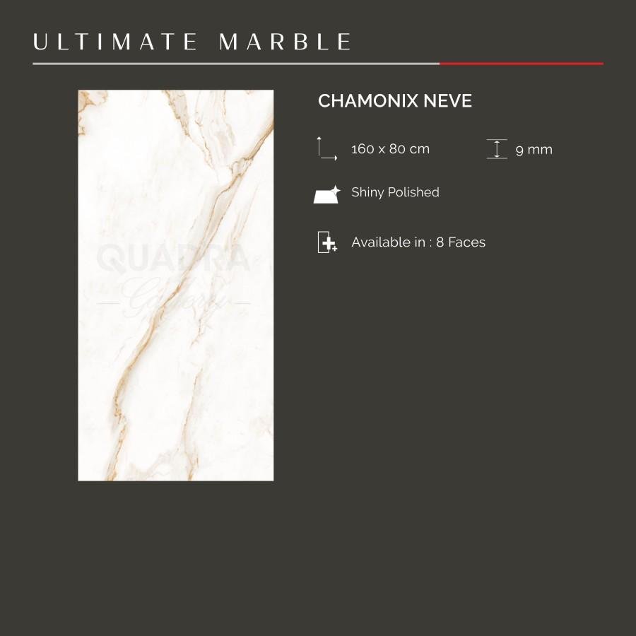CHAMONIX NEVE 160X80