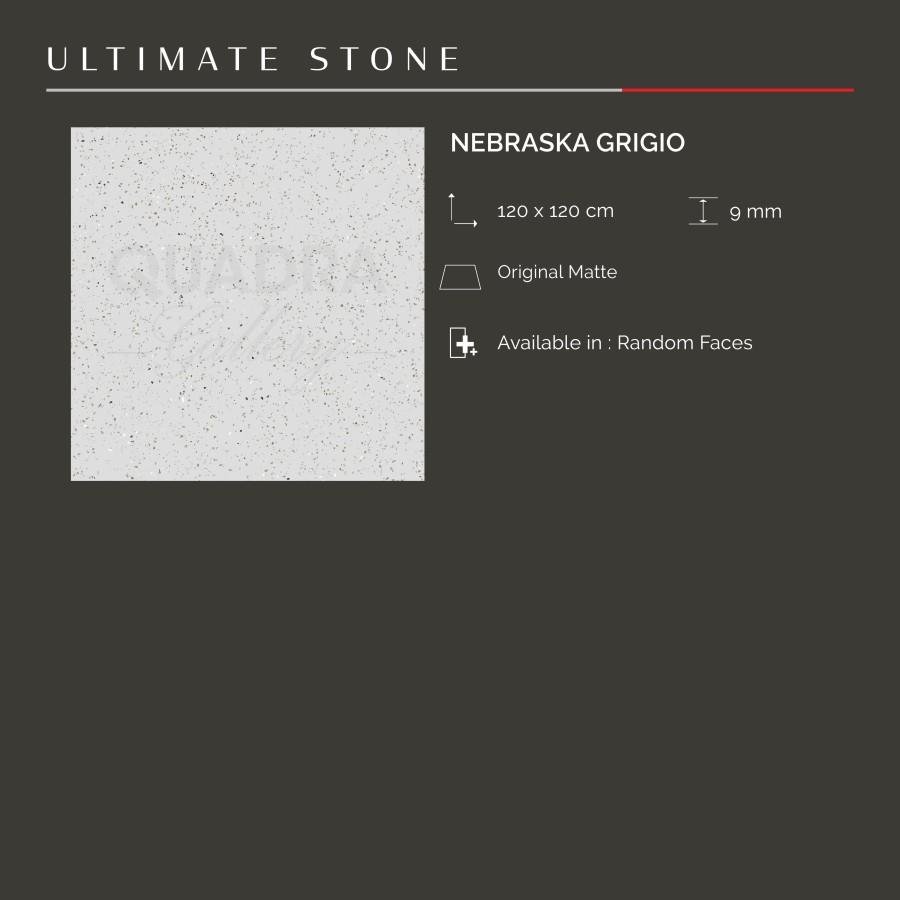 NEBRASKA GRIGIO 120X120
