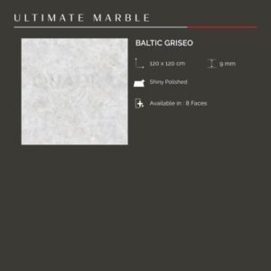 BALTIC GRISEO 120X120