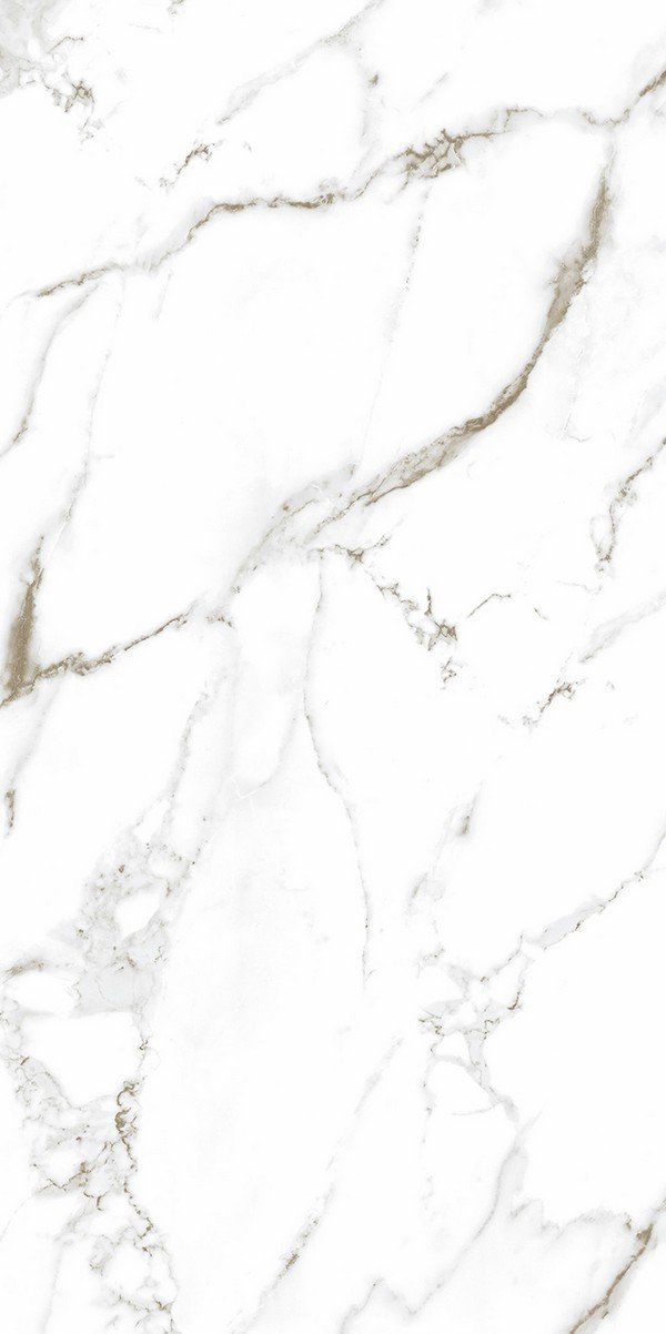 CALACATTA LUCENT MATTE 240X120 - Image 2