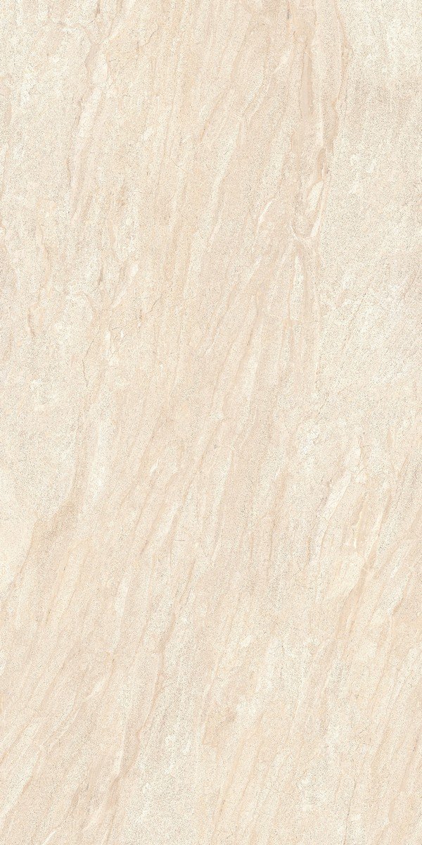 DAINO ROYALE MATTE 240X120 - Image 2