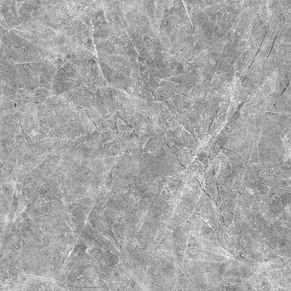 EVERBLOOM GREY 120X120 - Image 3