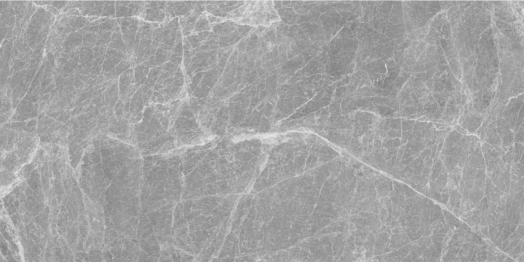HERMES GRIGIO 120X240 - Image 3