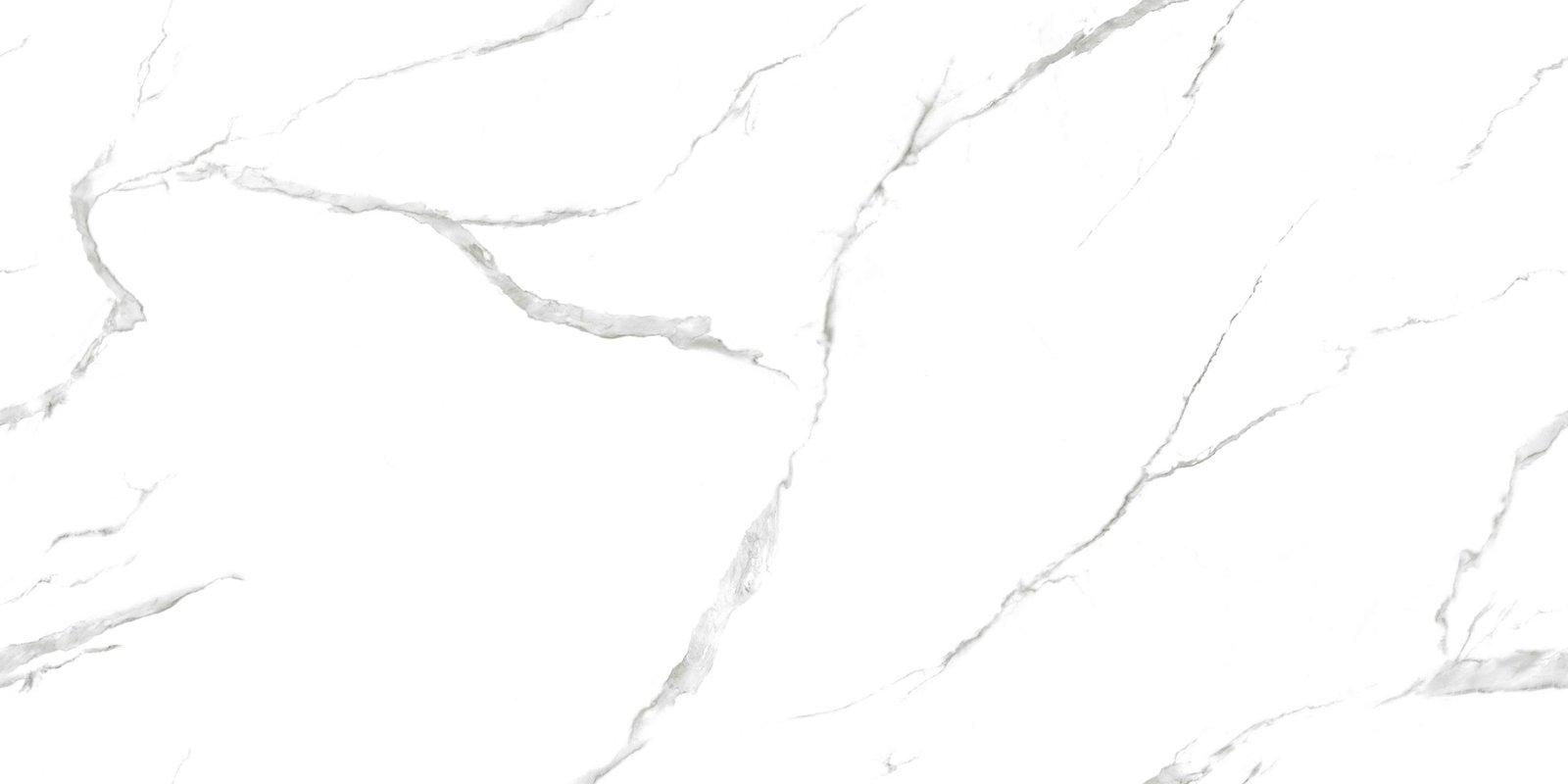 STATUARIO IMPERIALE 120X240