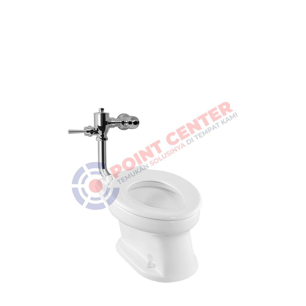 TOTO CW425J/TV150NLJ Toilet Bowl